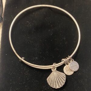 Alex and Ani Silver Charm Bracelet